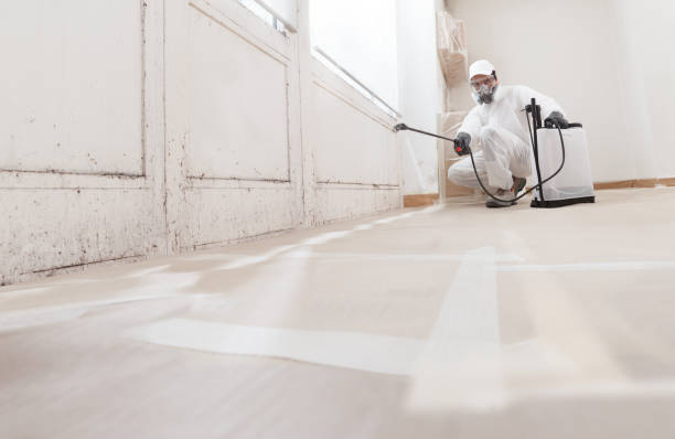 24/7 Emergency Mold Remediation experts in Lake Zurich, IL