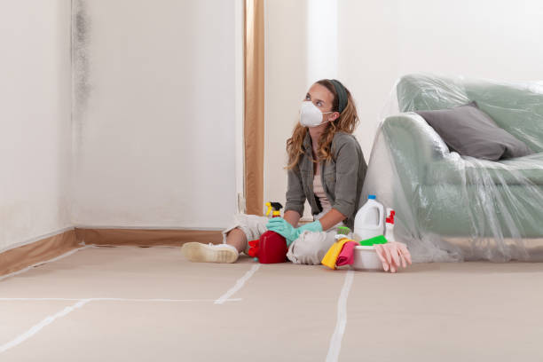 Reliable Mold Remediation contractor in Lake Zurich, IL by WQB Mold Removal